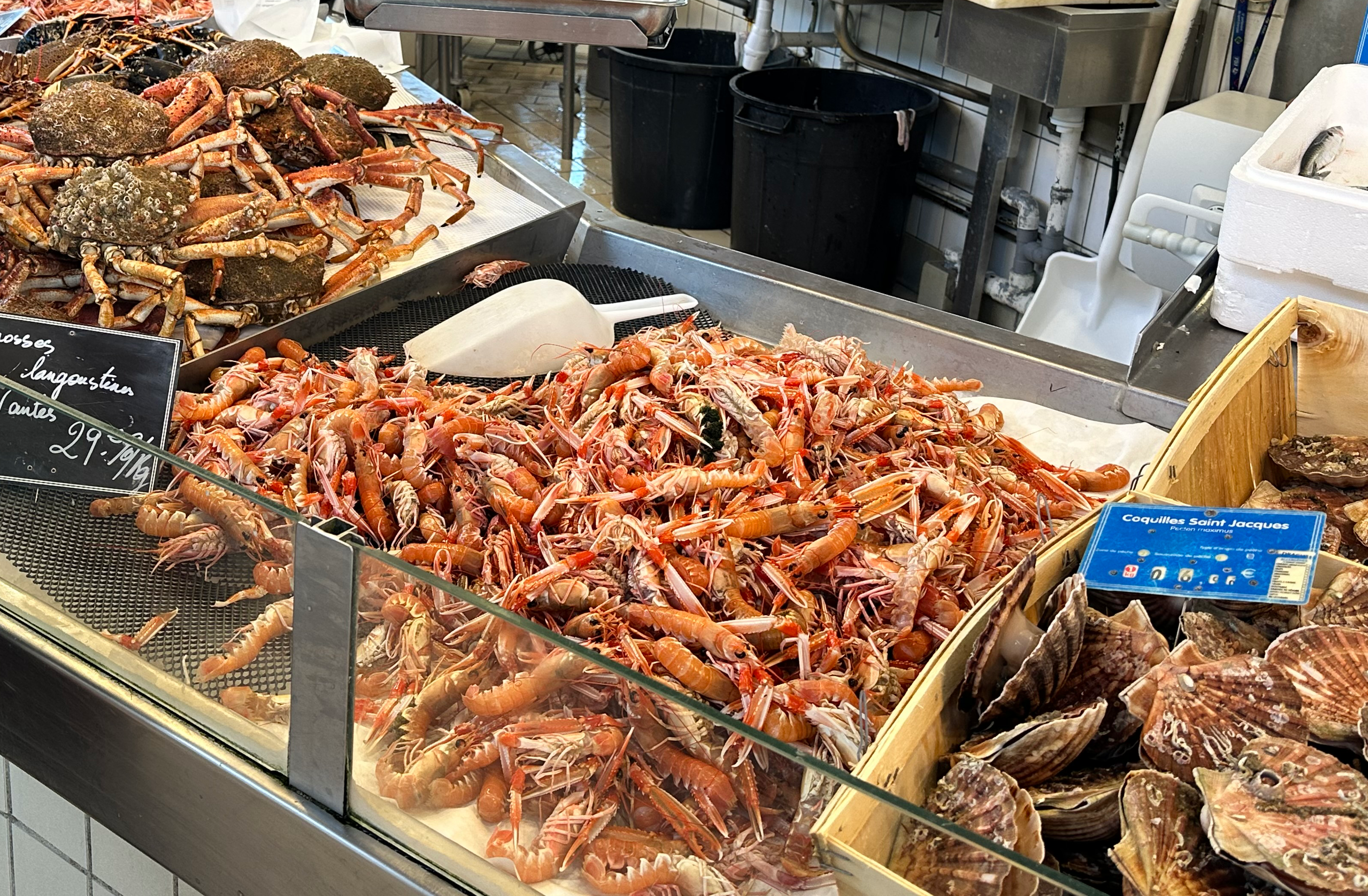 Fish in Tomato Sauce Recipe